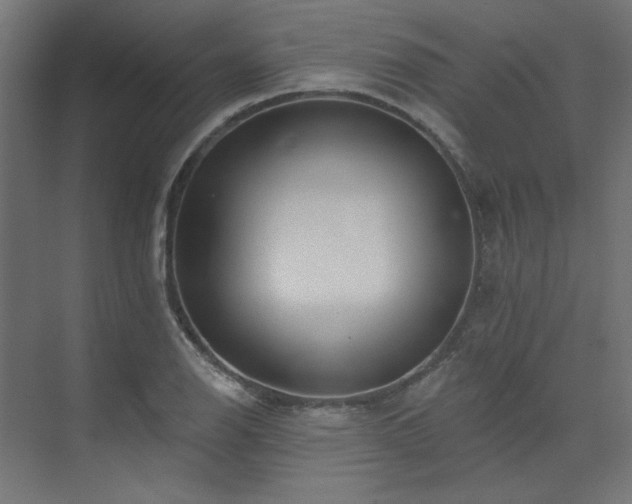 X0000074281126200608251311