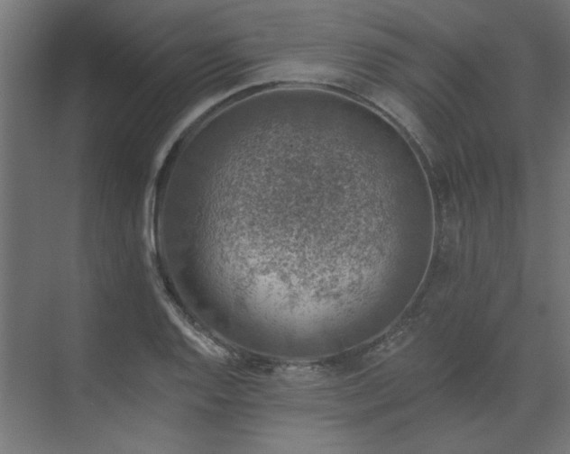 X0000074281128200608251311