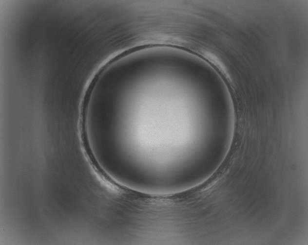 X0000074281136200608251311