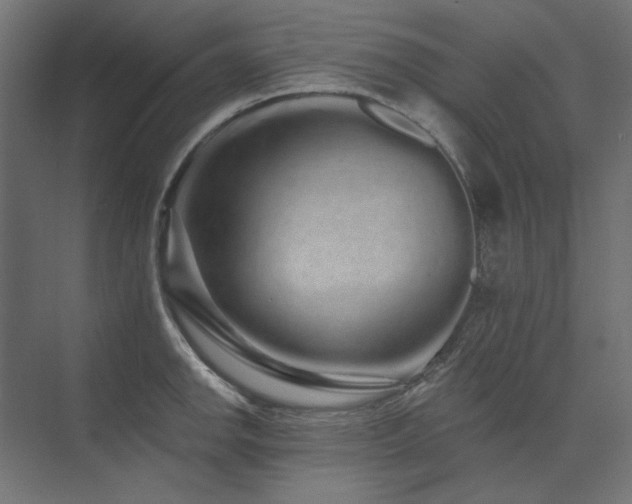 X0000074281142200608251311