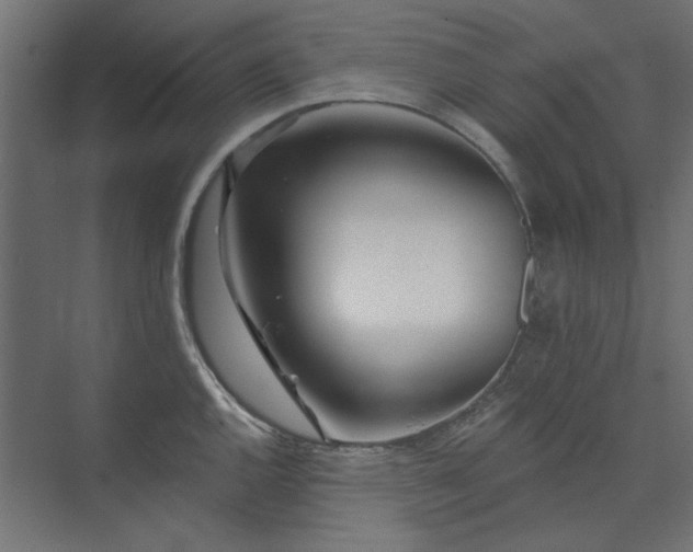X0000074281144200608251311