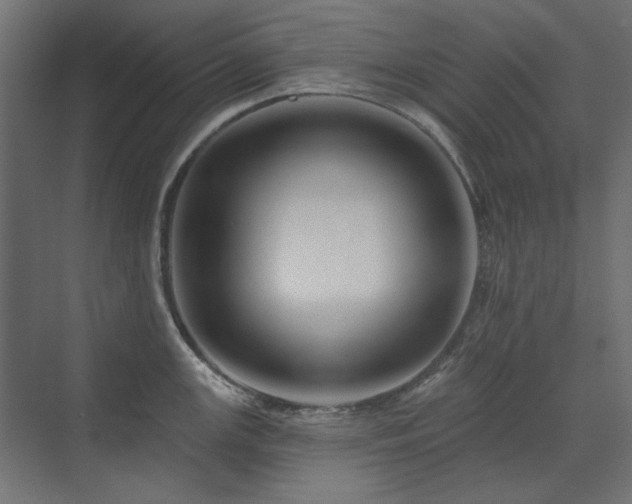 X0000074281147200608251311
