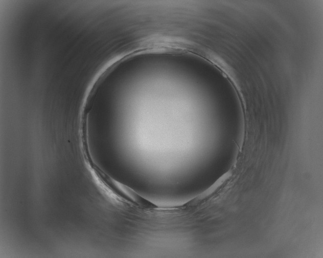 X0000074281152200608251312