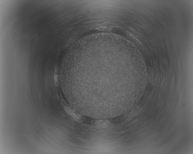 X0000074281154200608251311