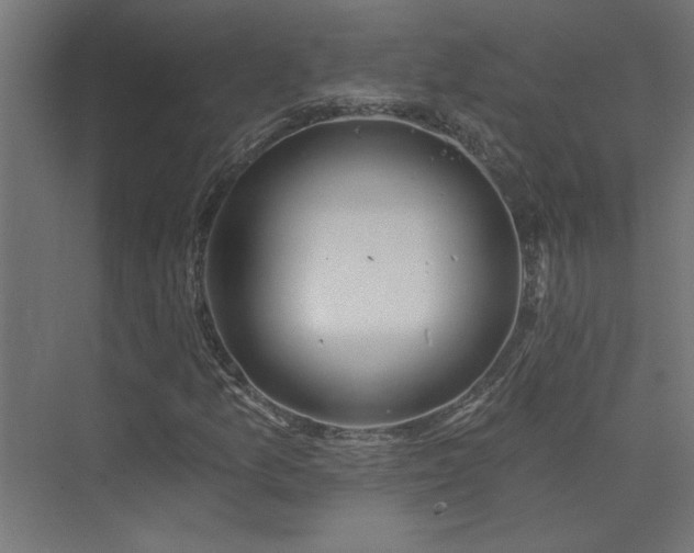 X0000074281157200608251311