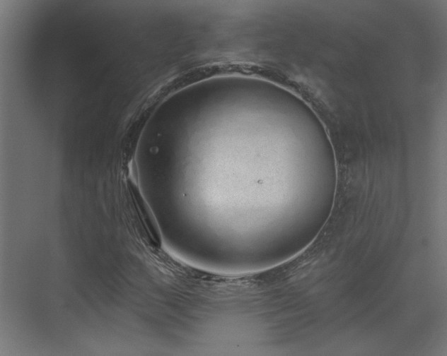 X0000074281159200608251311