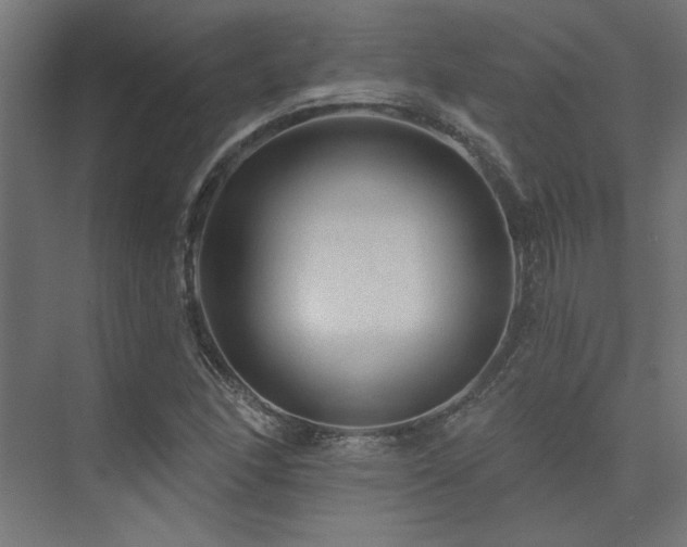 X0000074281166200608251311