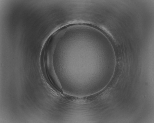 X0000074281173200608251310