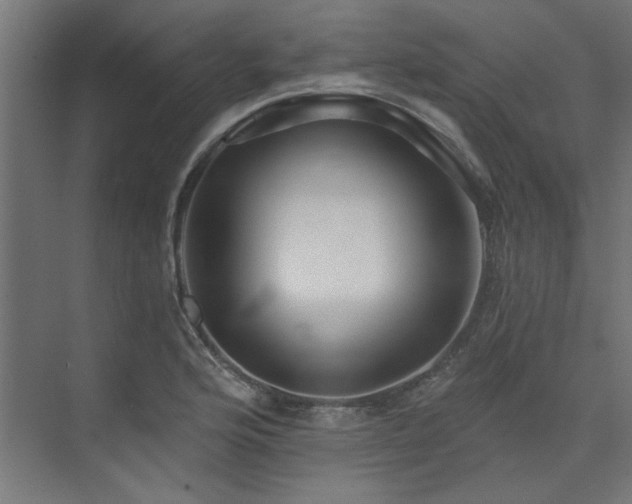 X0000074281176200608251310