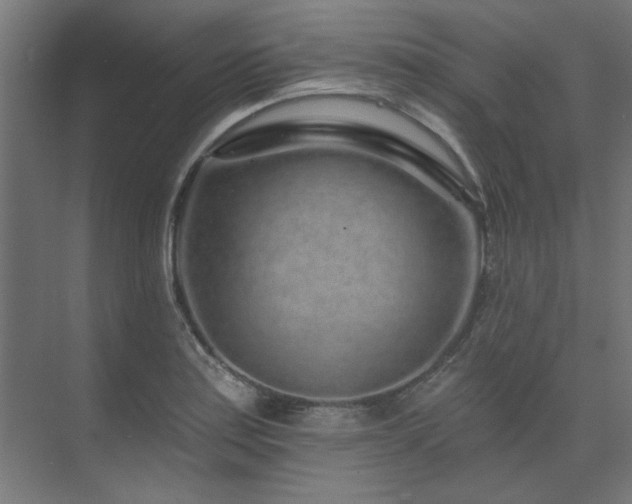 X0000074281179200608251310