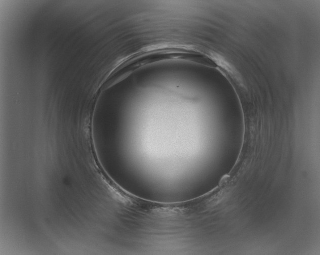 X0000074281185200608251310