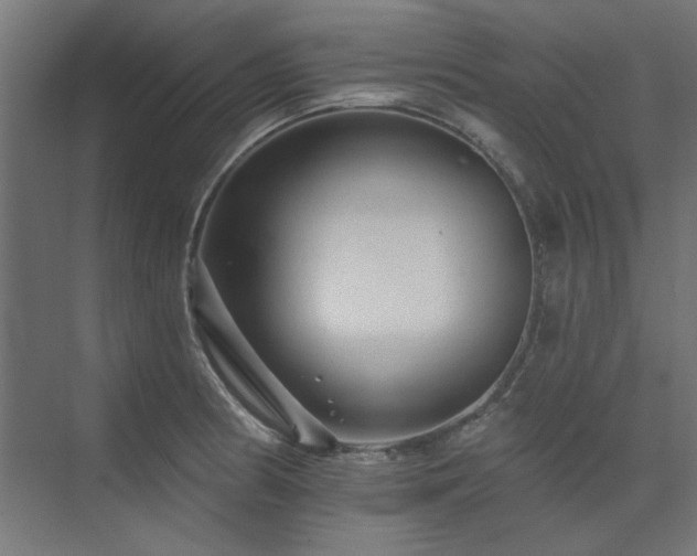 X0000074281186200608251310