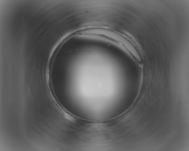 X0000074281188200608251310