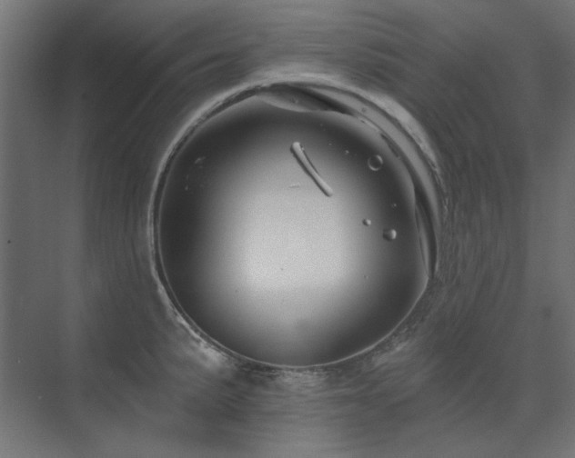 X0000074281191200608251310