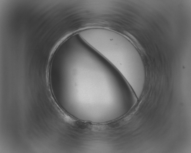X0000074281196200608251310