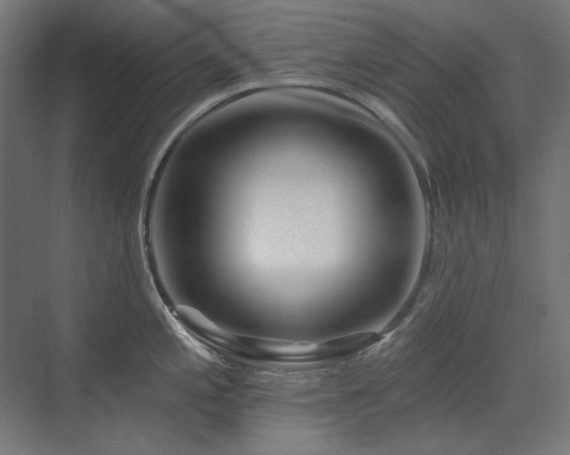 X0000074281197200608251310