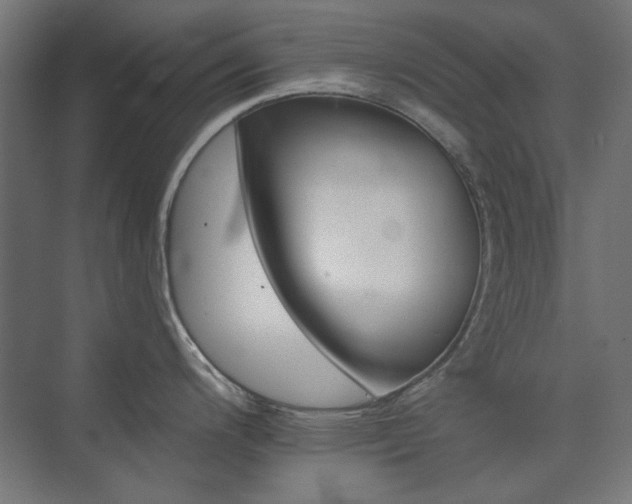 X0000074281200200608251310