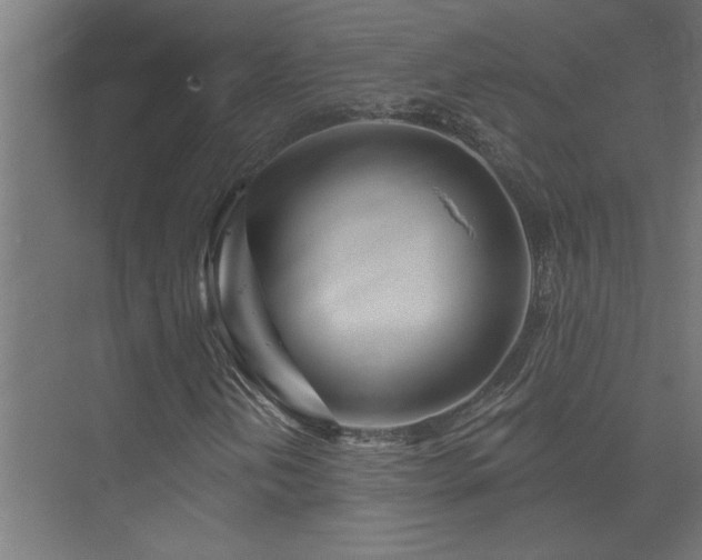 X0000074281202200608251309