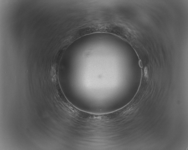 X0000074281203200608251309