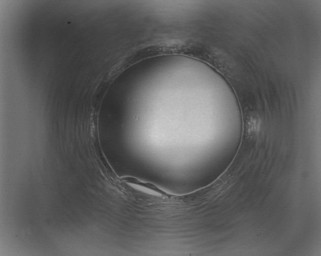 X0000074281204200608251309
