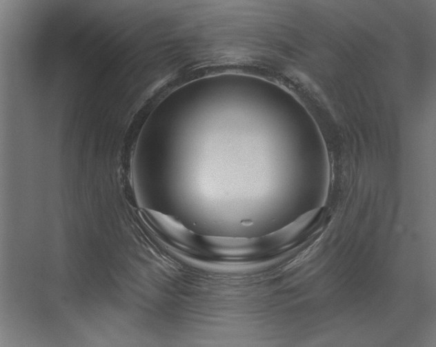 X0000074281210200608251309
