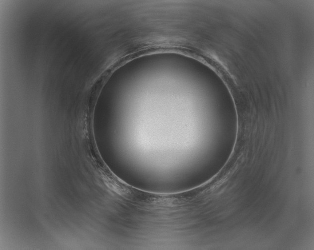 X0000074281211200608251309