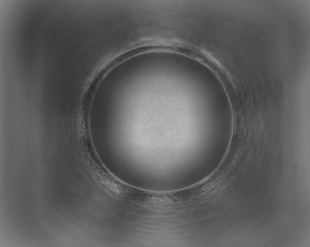X0000074281215200608251309