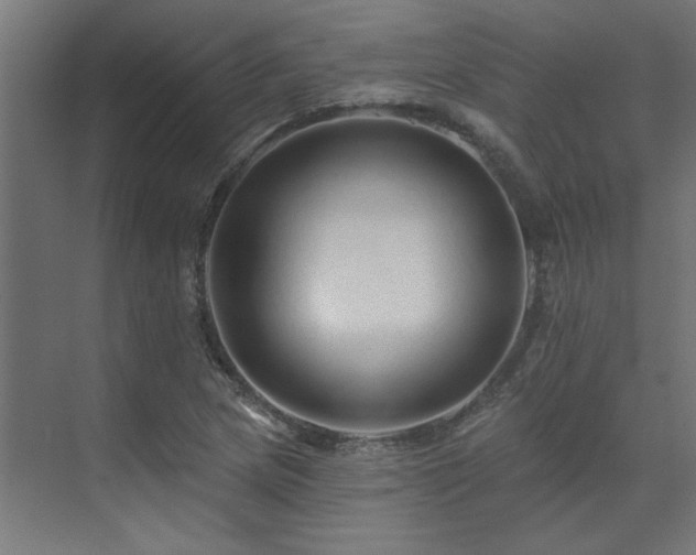 X0000074281217200608251309