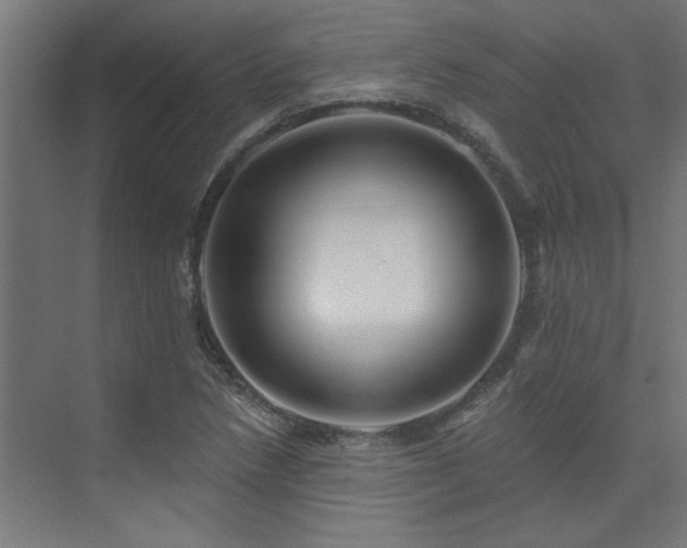 X0000074281218200608251309