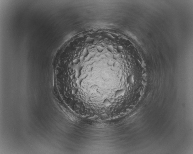 X0000074281219200608251309