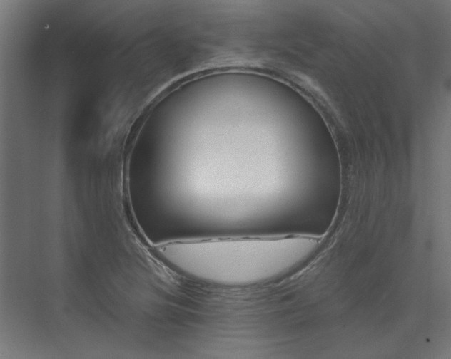 X0000074281220200608251309