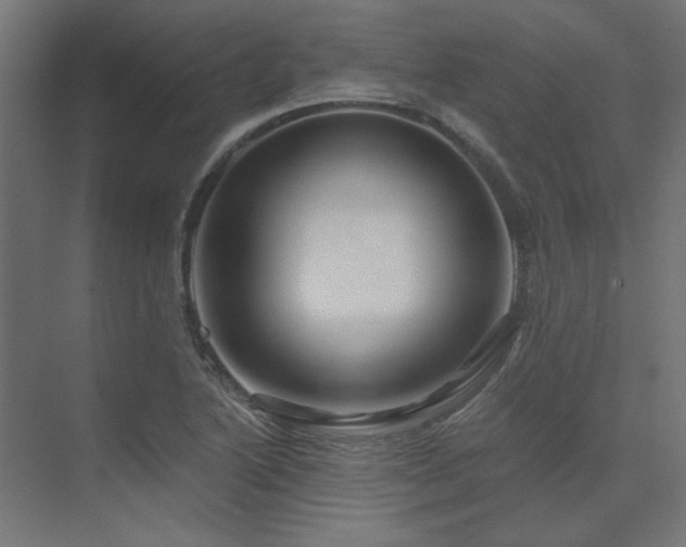 X0000074281222200608251309