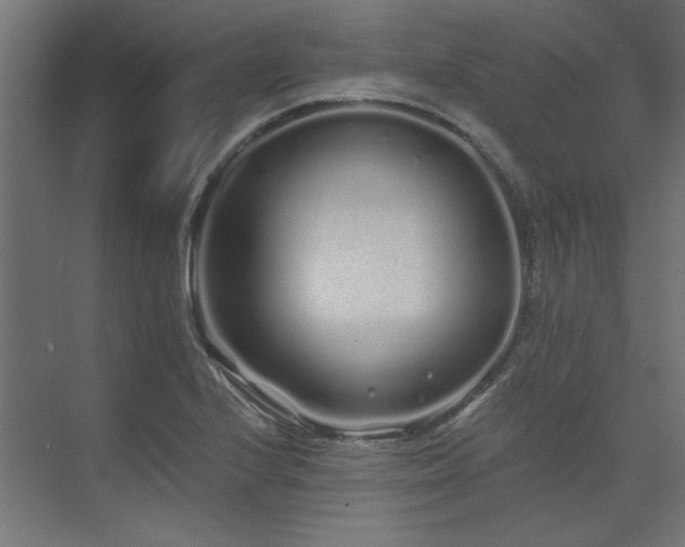 X0000074281224200608251310