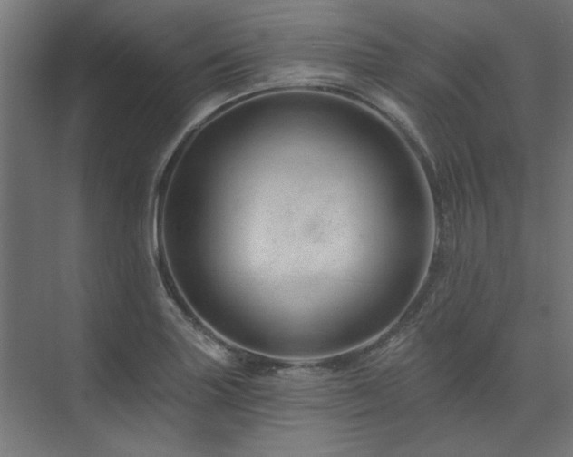 X0000074281227200608251310