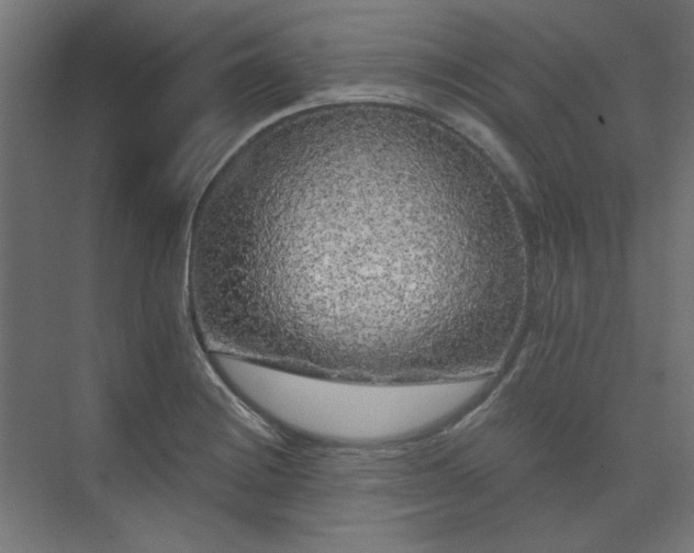 X0000074281228200608251310