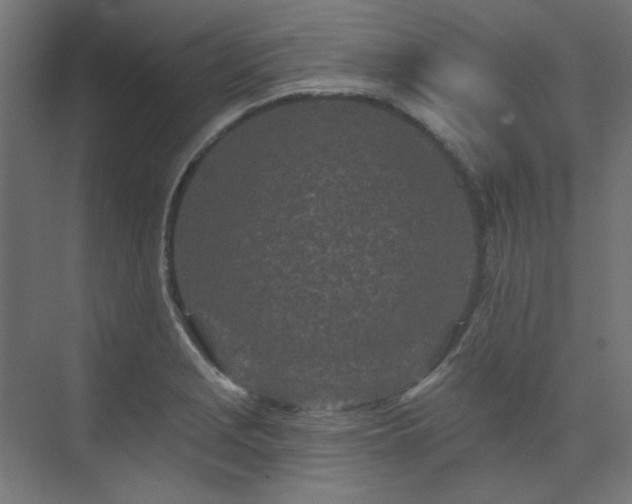 X0000074281229200608251310