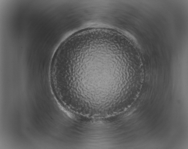 X0000074281231200608251310