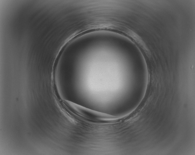 X0000074281234200608251310