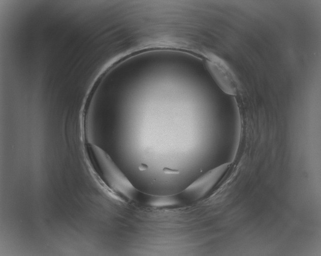 X0000074281238200608251310