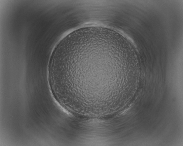 X0000074281239200608251310