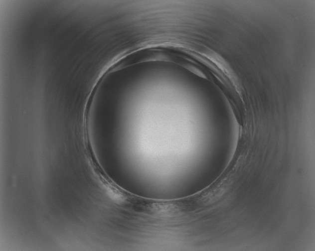 X0000074281242200608251310