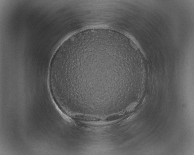 X0000074281245200608251310