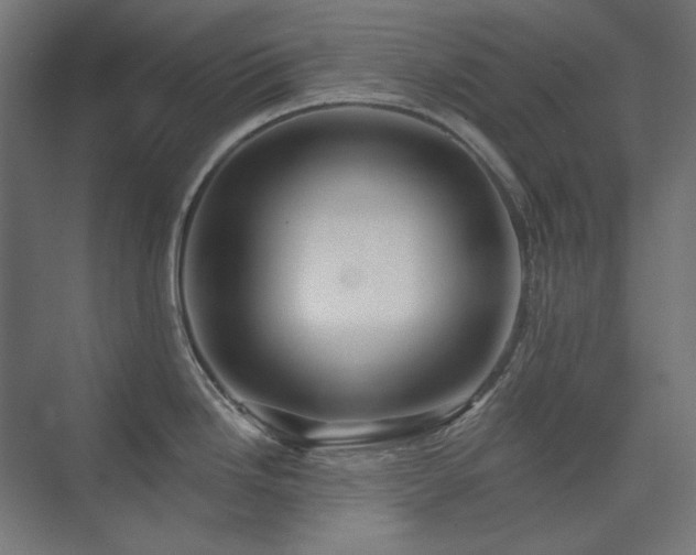X0000074281246200608251310