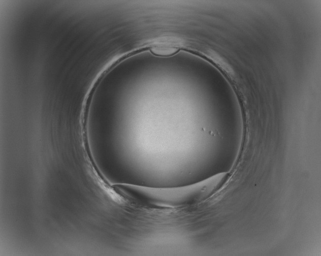 X0000074281248200608251310