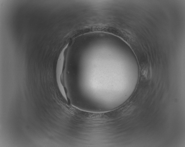 X0000074281252200608251309
