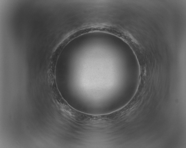 X0000074281256200608251309