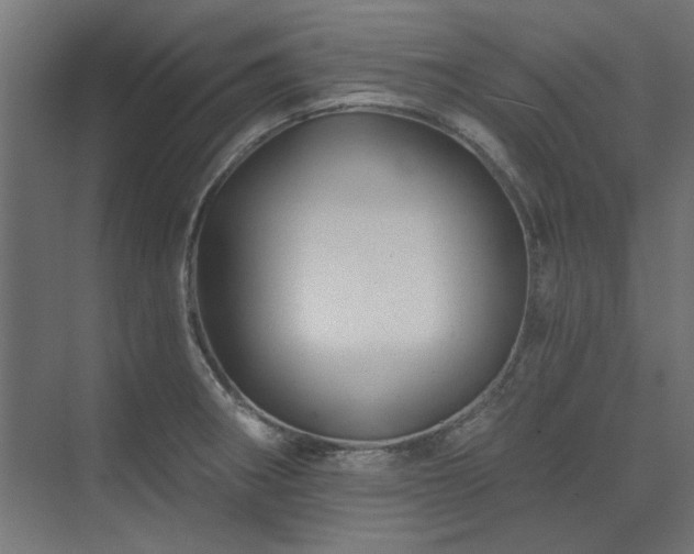 X0000074281282200608251309