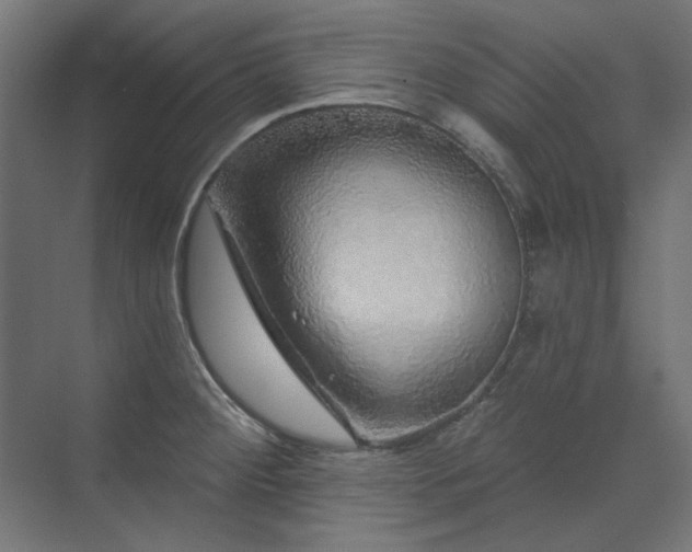 X0000074281284200608251309