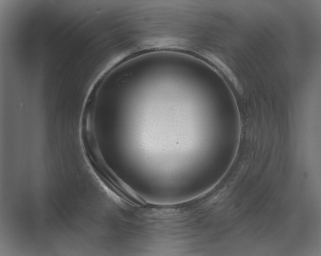X0000074281285200608251309
