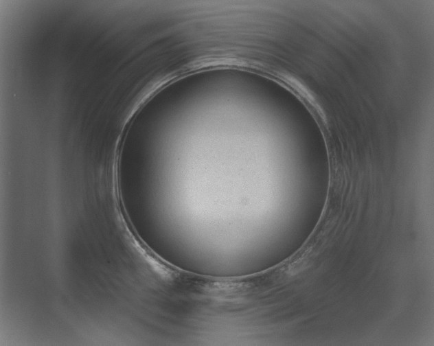 X0000074281290200608251308